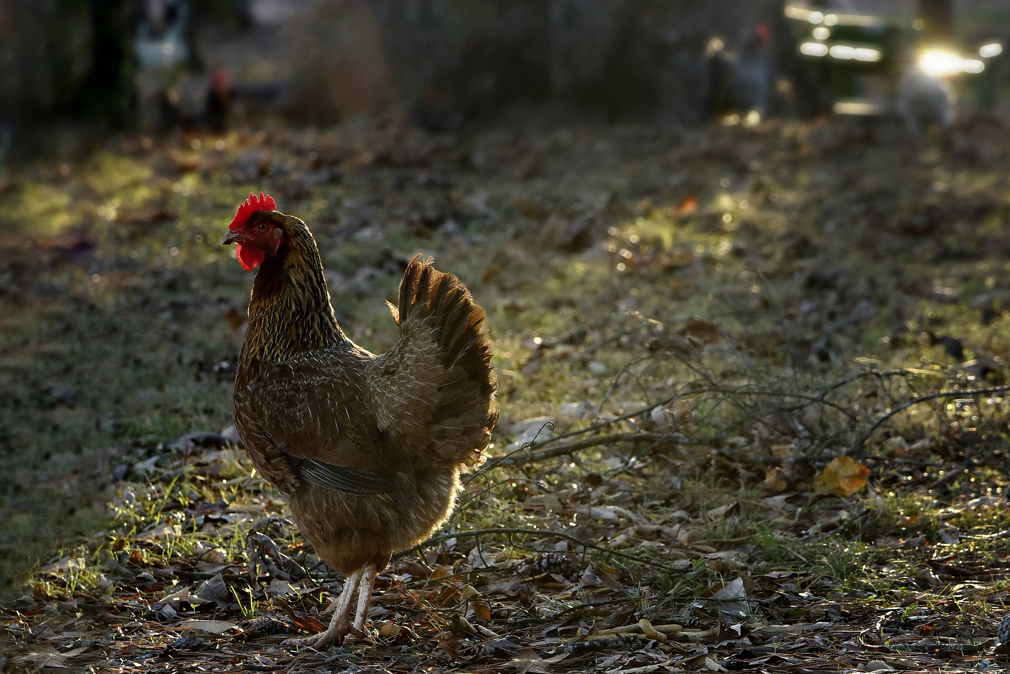 44 Farmhouse WEB 087